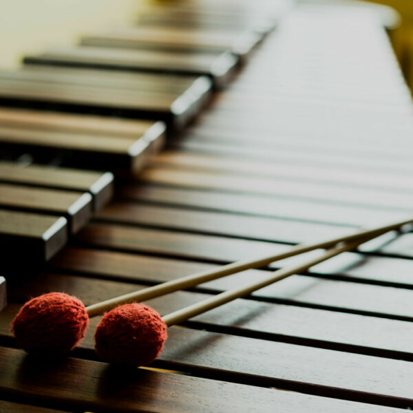 Sitamais instruments marimba un vālītes