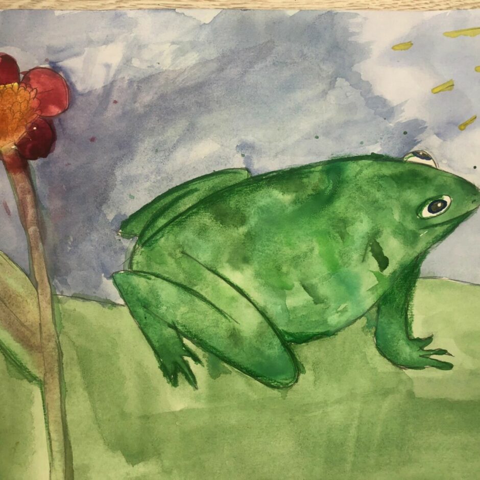 Dabas aizsardzības pārvaldes konkursa “Misija–KRUPIS. Izglāb princi!” dalībnieka zīmējums