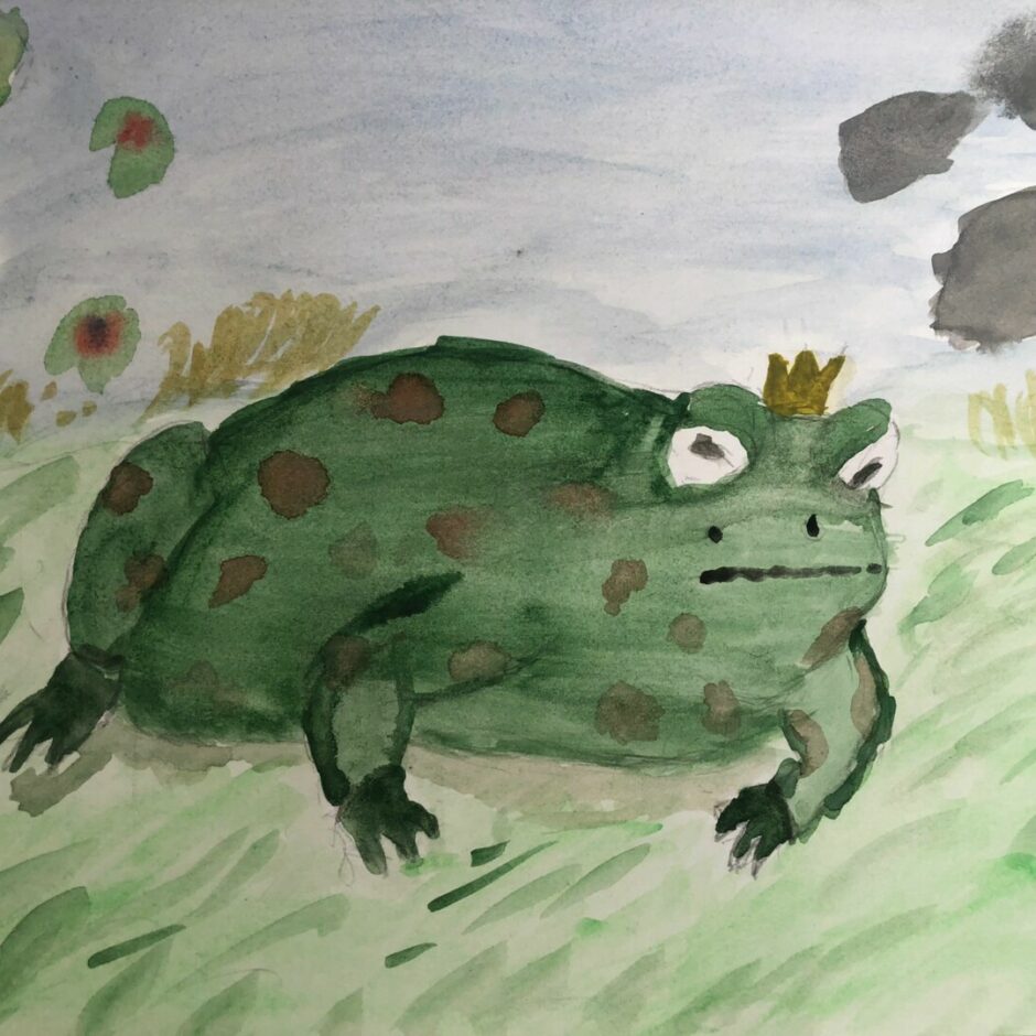 Dabas aizsardzības pārvaldes konkursa “Misija–KRUPIS. Izglāb princi!” dalībnieka zīmējums