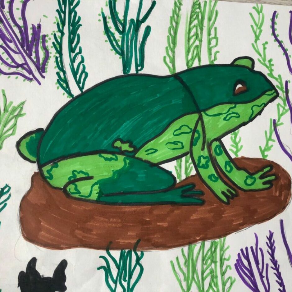 Dabas aizsardzības pārvaldes konkursa “Misija–KRUPIS. Izglāb princi!” dalībnieka zīmējums