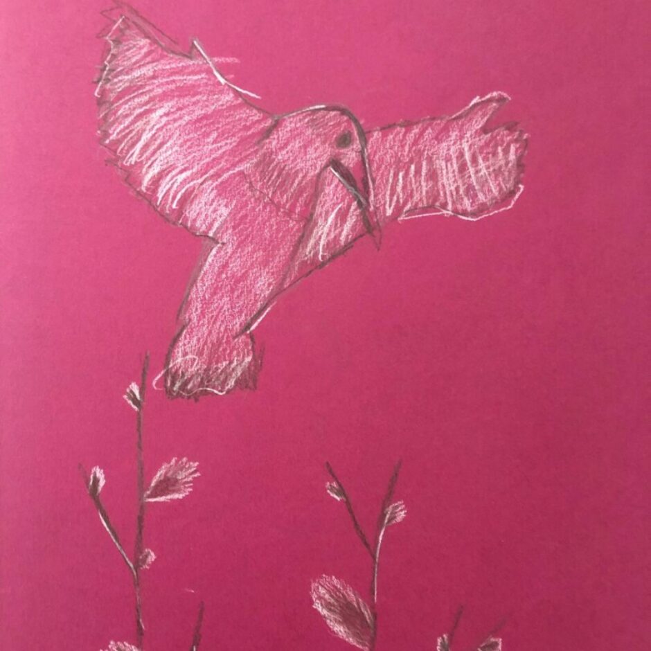 Zīmējums - pūpoli un putns