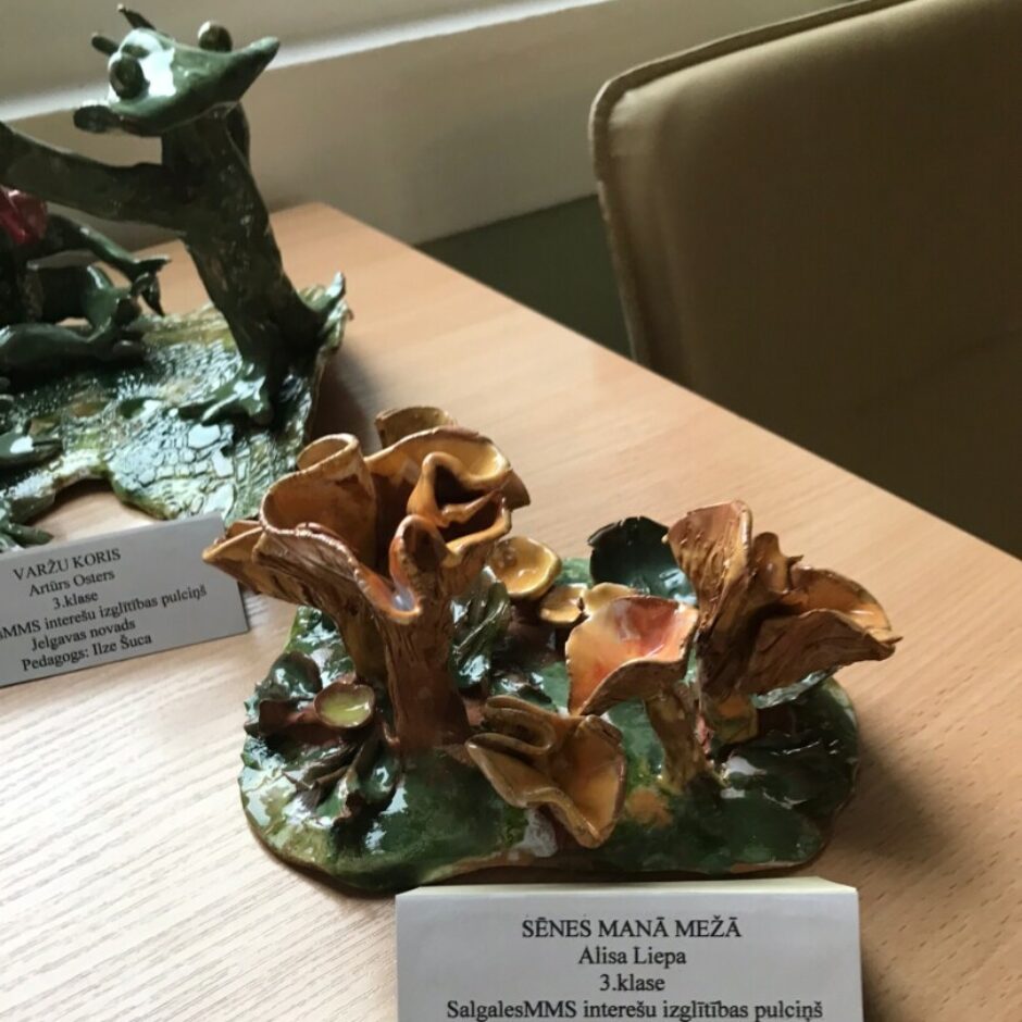 Alissas Liepas konkursa darbs 